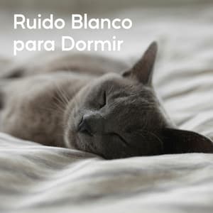 Ruido Blanco Para Dormir - Relaxamento Sons da Natureza Ruído Branco Musicas Clube