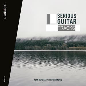 Serious Guitar Tracks - Tony Delmonte