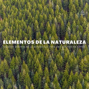 Elementos De La Naturaleza: Serenos Sonidos De La Naturaleza Para Una Meditación Rápida - Naturaleza Sonidos
