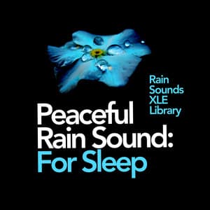 Peaceful Rain Sound: For Sleep - Rain Sounds XLE Library