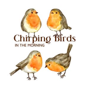 Chirping Birds in the Morning: Sunrise Meditation and Yoga for Boost Your Mood & Healing Nature Sounds - Jasmine Soft