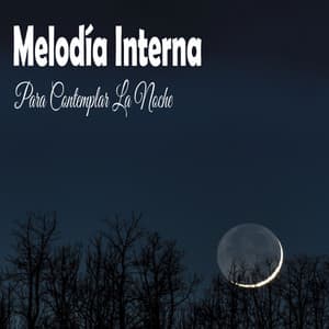 Melodía Interna Para Contemplar La Noche - Música Relajante