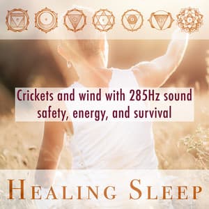 Crickets And Wind With 285Hz Sound Safety, Energy, And Survival - Healing Sleep