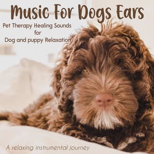 Music For Dogs Ears: Pet Therapy Healing Sounds for Dog and Puppy Relaxation, A Relaxing Instrumental Journey - Chill My Pooch
