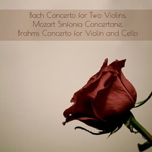 Bach Concerto for Two Violins, Mozart Sinfonia Concertane, Brahms Concerto for Violin and Cello - Jascha Heifetz