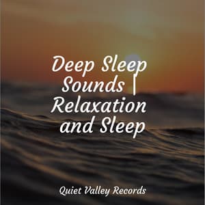 Deep Sleep Sounds | Relaxation and Sleep - Natureza Musica Bem-Estar Academia