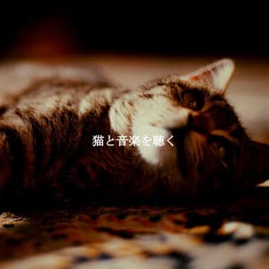 猫と音楽を聴く - Música para Descansar