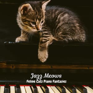 Jazz Meows: Feline Cats Piano Fantasies - Chill Out Dinner Jazz