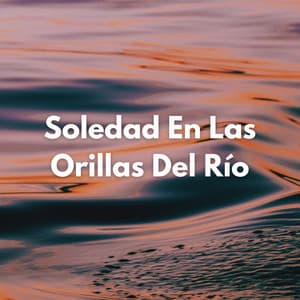 Soledad En Las Orillas Del Río - Flujo de agua definitivo
