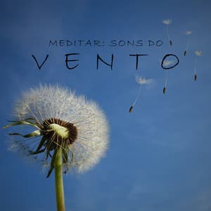 Meditar: Sons do Vento - Meditação Música Ambiente