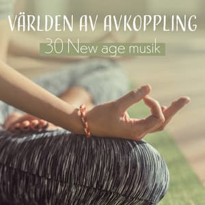 Världen av avkoppling - 30 New age musik till yoga meditation - Mindfulness meditation världen