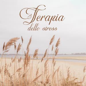 Terapia dello stress: Suoni della natura, musiche zen, ritmi rilassanti per ridurre lo stress - Meditazione zen musica