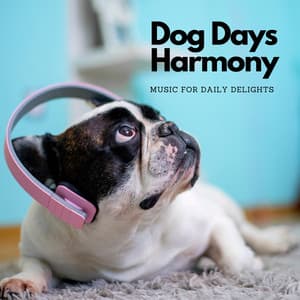 Dog Days Harmony: Music For Daily Delights - Soothing Music