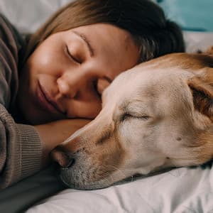 Melodías Suaves Para La Comodidad De Tu Perro - Muestras de alta frecuencia