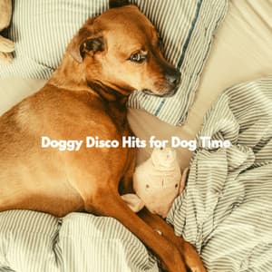 Doggy Disco Hits for Dog Time - Relaxing Dog Music