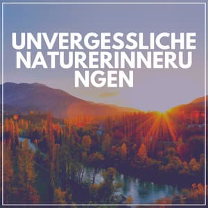 Unvergessliche Naturerinnerungen - Naturgeräusche