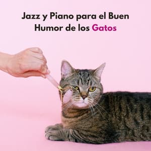 Jazz Y Piano Para El Buen Humor De Los Gatos - Jazz Radio