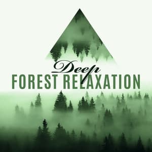 Deep Forest Relaxation: Instrumental Nature Sounds for Healing, Mindfulness & Harmony - Natural Sounds Music Academy