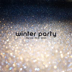 Winter Party Music Mix 2021 - Ibiza Chillout Unlimited
