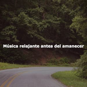 Música relajante antes del amanecer - Musique de Restaurant