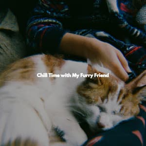 Chill Time with My Furry Friend - Frühstück Jazz Playlist