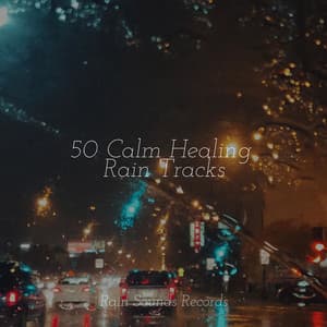 50 Calm Healing Rain Tracks - Sounds Of Nature : Thunderstorm, Rain