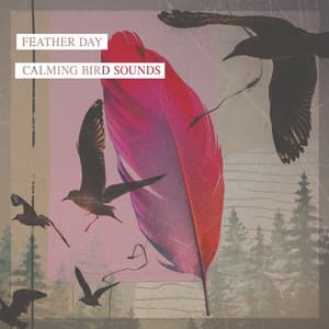 Feather Day - Calming Bird Sounds