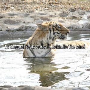 12 Binaural Beats Auras To Rekindle The Mind - Binaural Institute