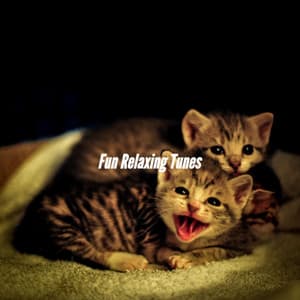 Fun Relaxing Tunes - Musica Rilassante & Benessere