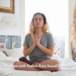Meditate with Nature Rain Sound Vol. 2 - 1 Hour Meditation