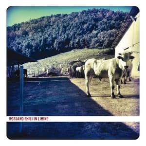 In Limine - Rossano Emili
