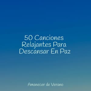 50 Canciones Relajantes Para Descansar En Paz - Calm Music for Studying