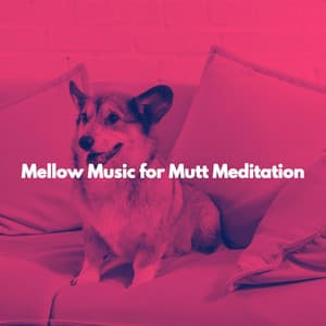 Mellow Music for Mutt Meditation - Jazz Chill Out Lounge