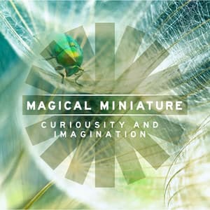 Magical Miniature: Themes of Intrigue and Imagination - Justin Nicholls