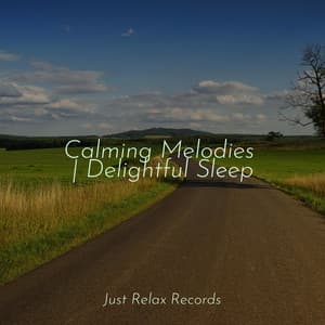 Calming Melodies | Delightful Sleep - Nature Sounds Nature Music