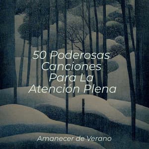 50 Poderosas Canciones Para La Atención Plena - Dulces Sueños