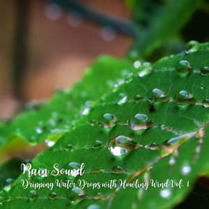 Rain Sound: Dripping Water Drops with Howling Wind Vol. 1 - Ocean Sounds FX