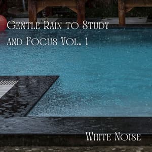 White Noise: Gentle Rain to Study and Focus Vol. 1 - White Noise Pink Noise