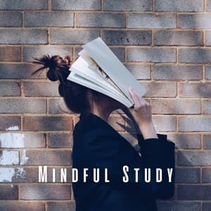 Mindful Study: Ambient Music for Intense Study Hour - Acoustic Study Music Playlists