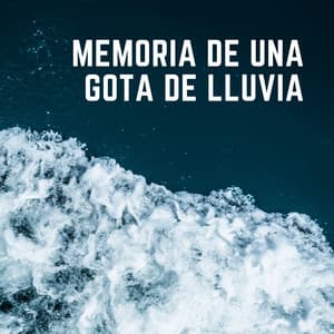 Memoria De Una Gota De Lluvia - Noche Nublada