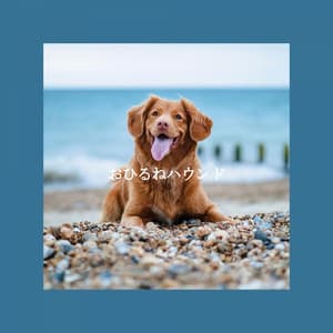 おひるねハウンド - The Elevator Music Jazz Trio