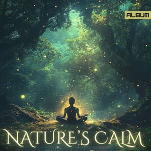 Nature's Calm: Deep Meditation and Focus Music Inspired by the Forest - Meditation Music for the Soul