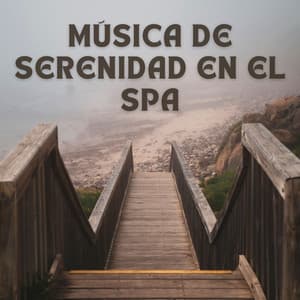 Música De Serenidad En El Spa - Academia de Música para Reducir el Estrés