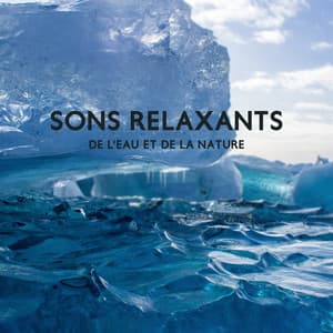 Sons relaxants de l'eau et de la nature - Relaxation mentale