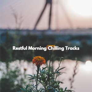 Restful Morning Chilling Tracks - Coffee Shop Lounge