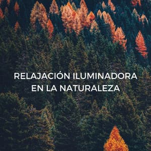 Relajación Iluminadora En La Naturaleza - Naturaleza 101