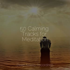 50 Calming Tracks for Meditation - Baby Sleep Lullaby Academy