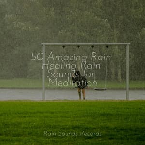 50 Amazing Rain Healing Rain Sounds for Meditation - Relaxing Music