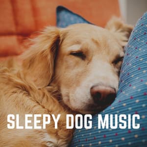 Sleepy Dog Music - Sleeping Music For Dogs