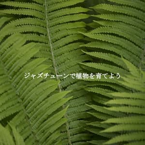 ジャズチューンで植物を育てよう - Instrumental Hotel Jazz